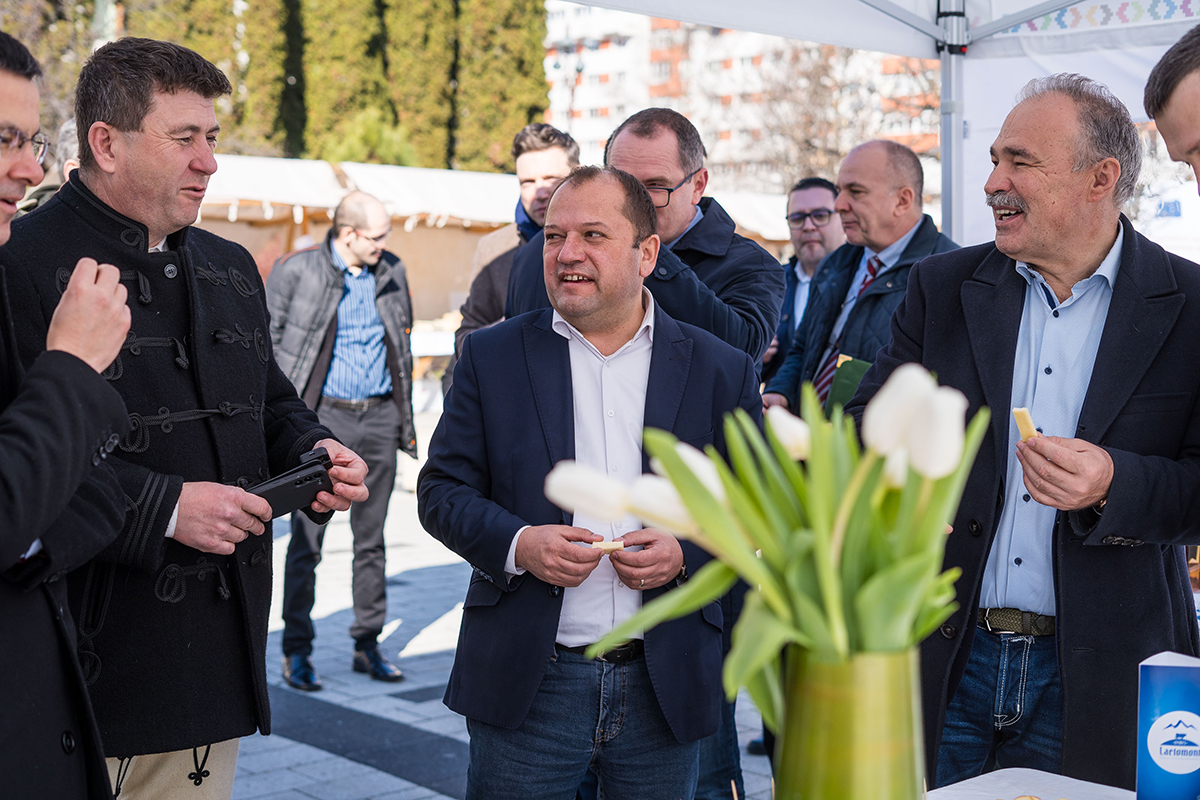 Lactomont projektvezető: A Pogány-Havas Kistérségi Társulás